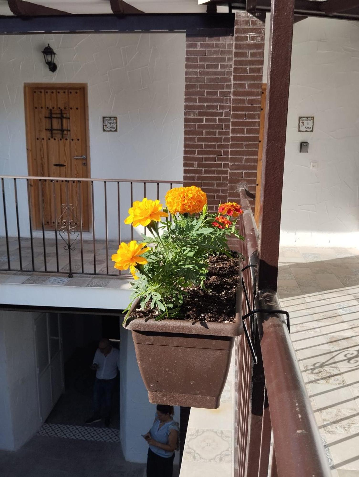 חרז Suite San Mateos 15 מראה חיצוני תמונה